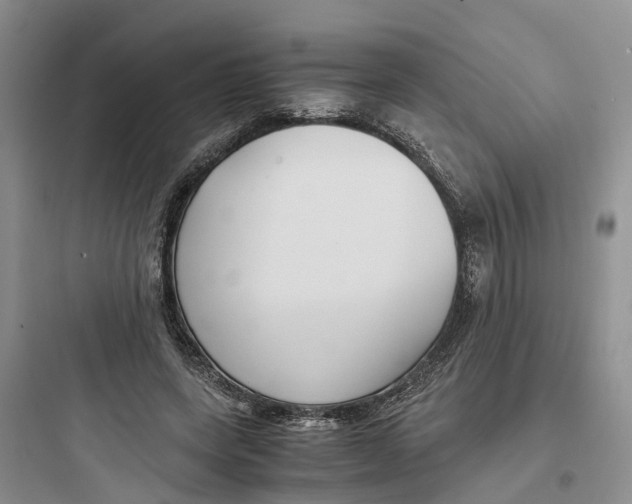 X0000097660543200803211922
