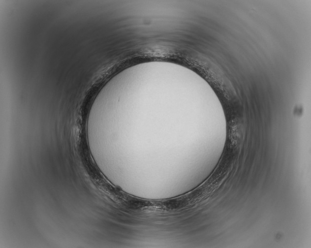 X0000097660544200803211922
