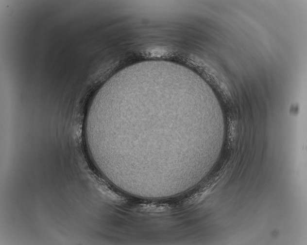 X0000097660545200803211922