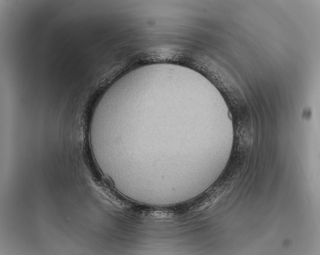 X0000097660546200803211922