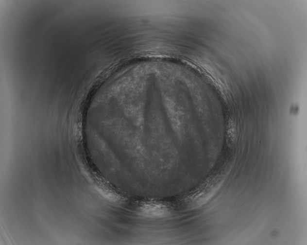 X0000097660547200803211922