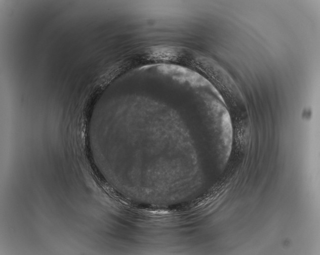 X0000097660551200803211922