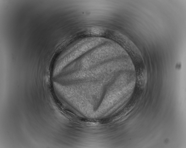 X0000097660552200803211922