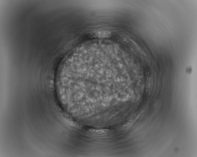 X0000097660553200803211922