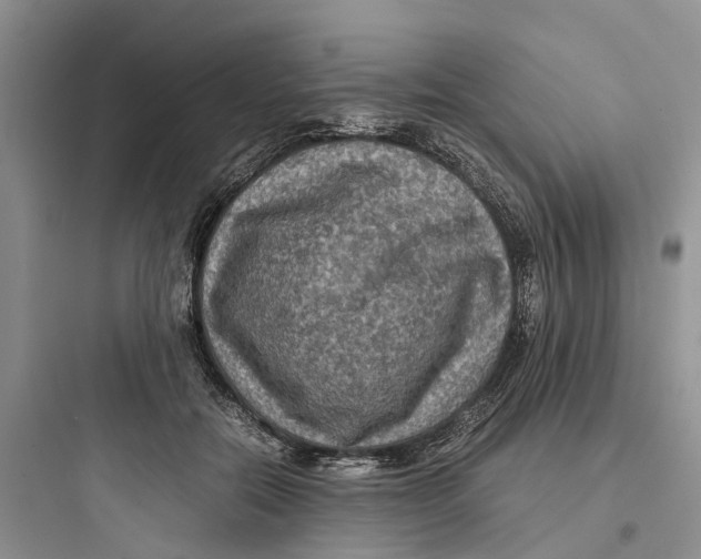 X0000097660554200803211922