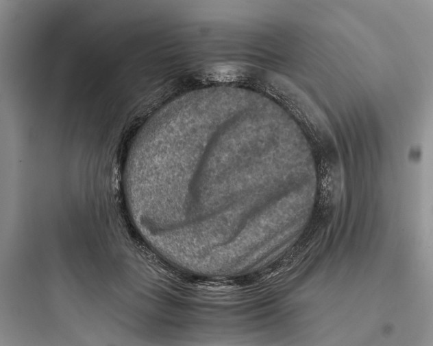 X0000097660555200803211922