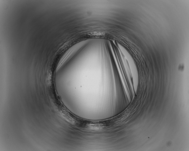 X0000097660556200803211922