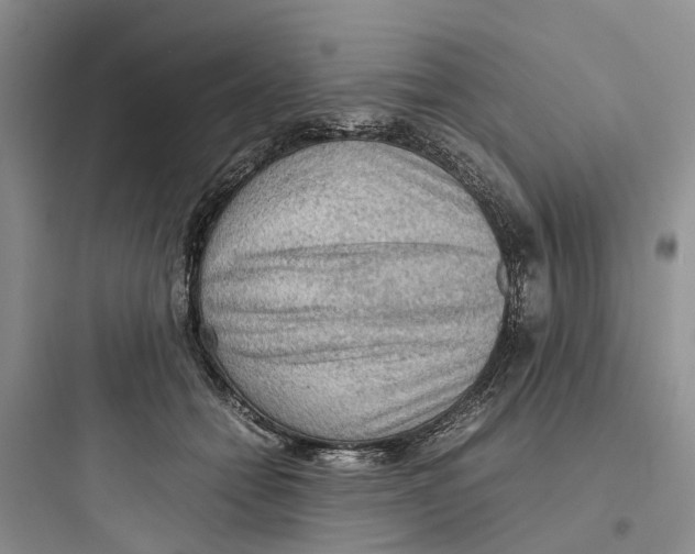 X0000097660558200803211922