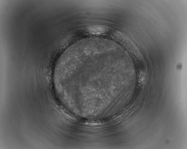 X0000097660559200803211922