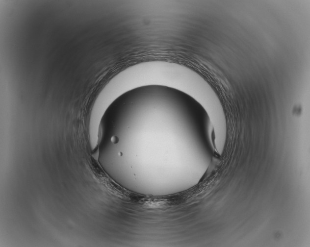 X0000097660560200803211922