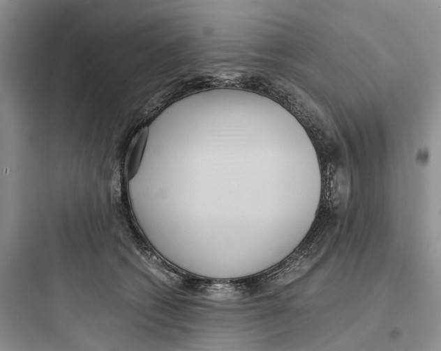 X0000097660562200803211922