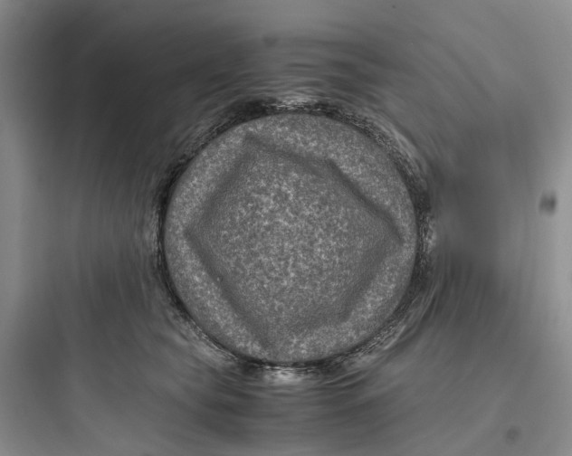 X0000097660565200803211922