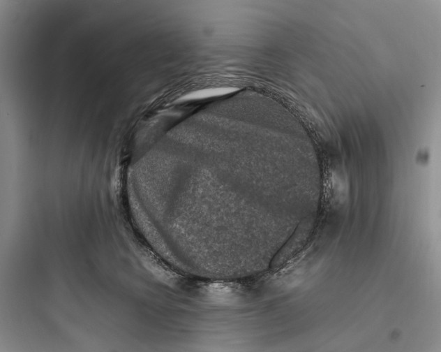 X0000097660566200803211922