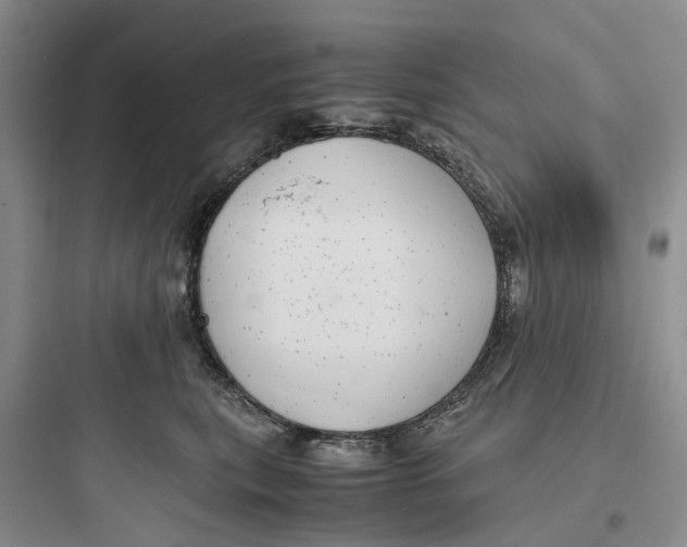 X0000097660567200803211922