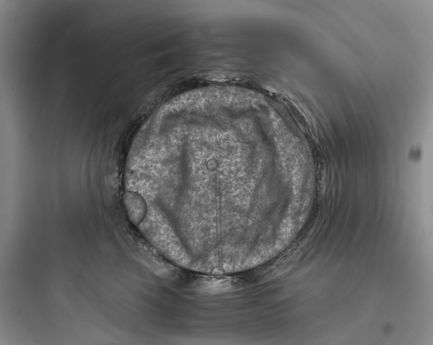 X0000097660569200803211922