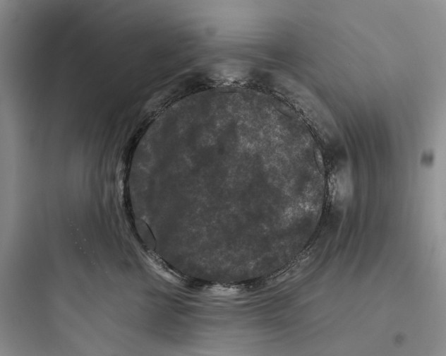 X0000097660570200803211922