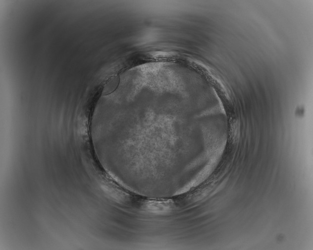 X0000097660571200803211922