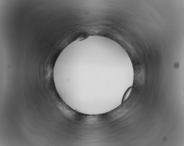 X0000097660574200803211922