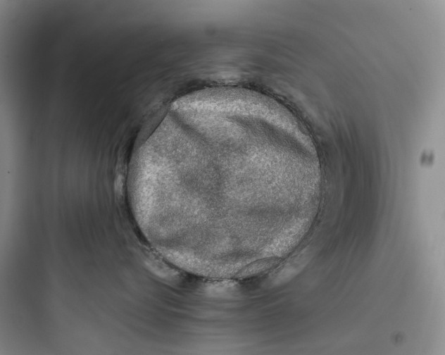 X0000097660576200803211922