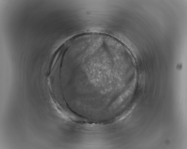 X0000097660577200803211922