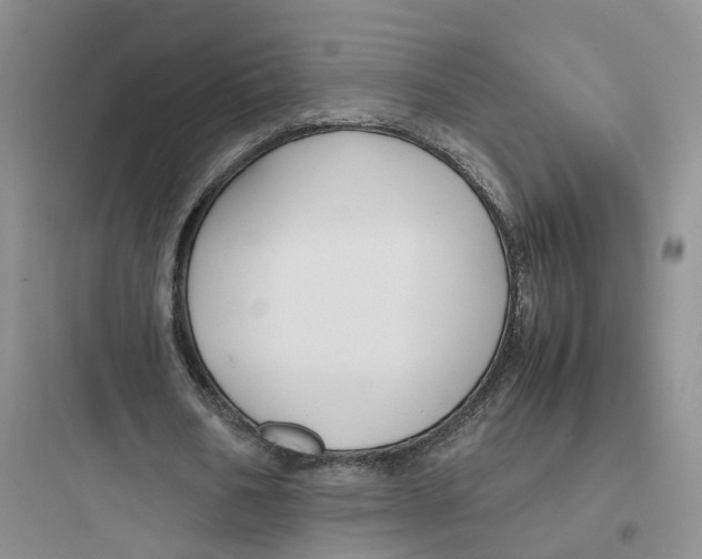X0000097660578200803211922