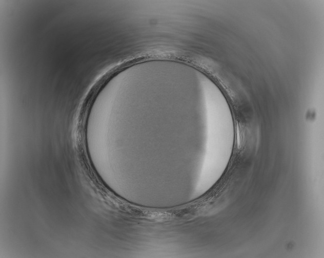 X0000097660579200803211922