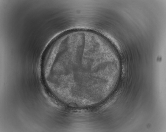 X0000097660580200803211921