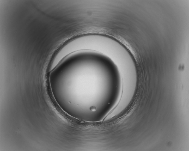X0000097660581200803211921