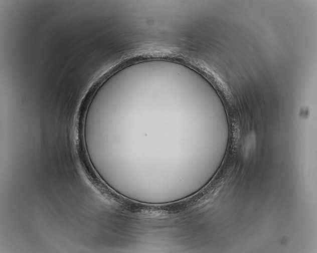 X0000097660582200803211921