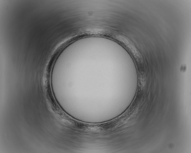 X0000097660583200803211921