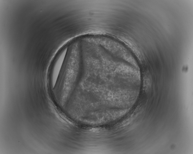 X0000097660584200803211921
