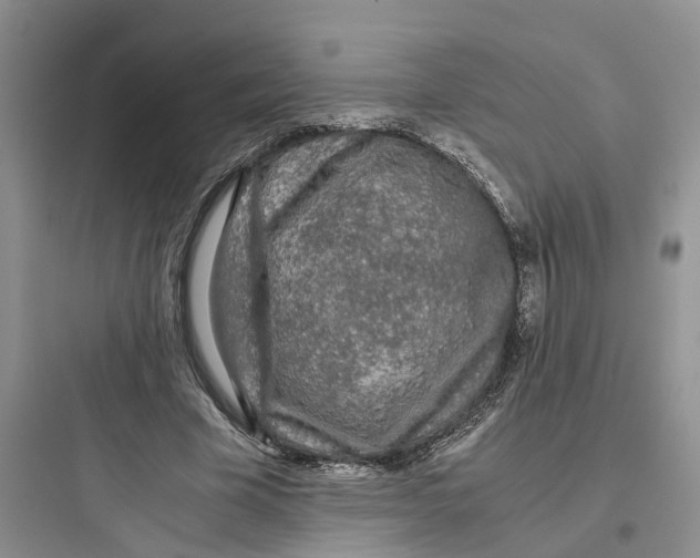 X0000097660585200803211921