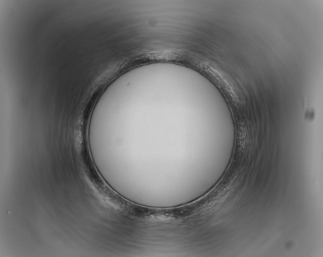 X0000097660586200803211921