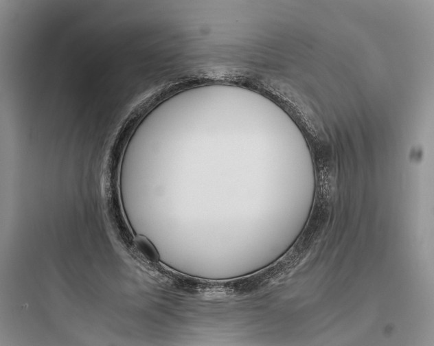 X0000097660587200803211921