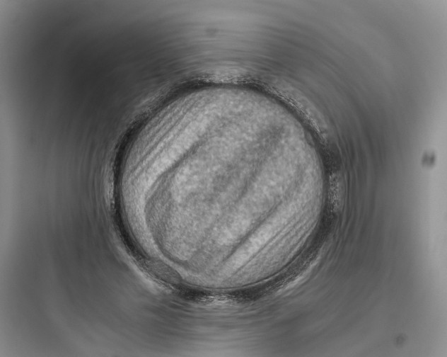 X0000097660589200803211921