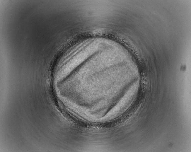 X0000097660593200803211921