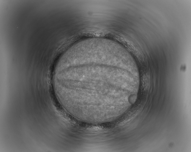 X0000097660594200803211921