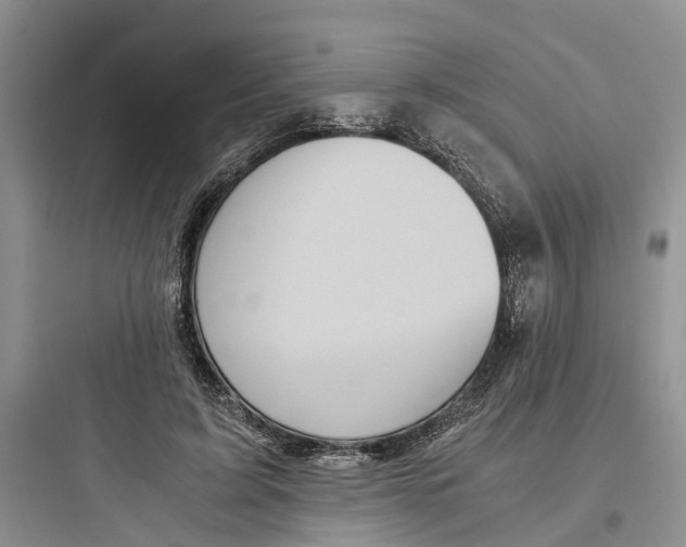 X0000097660595200803211921
