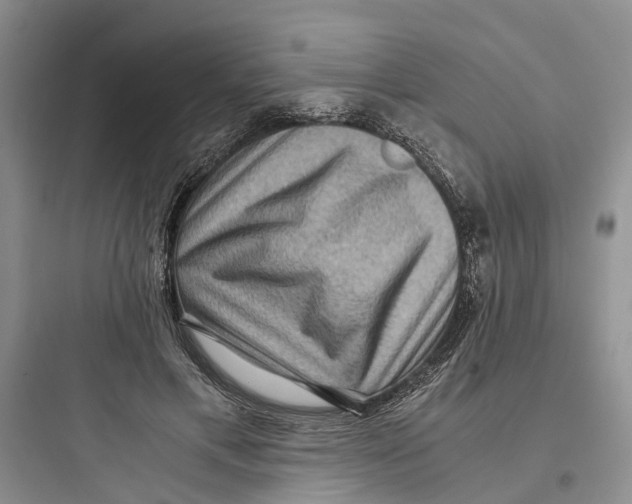 X0000097660597200803211921