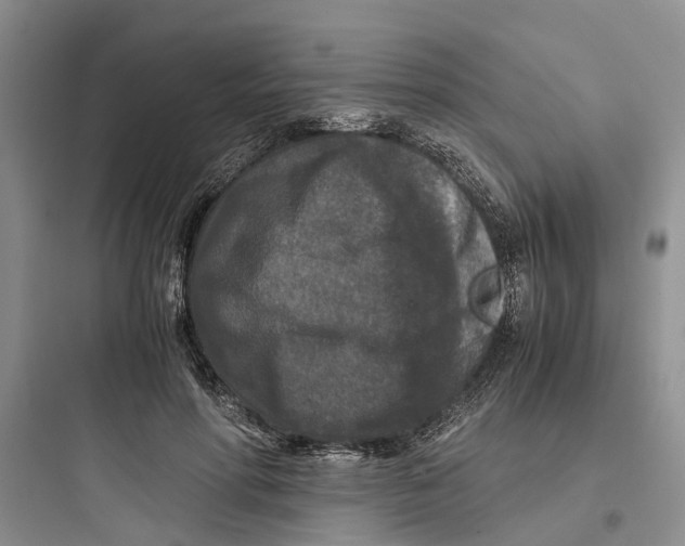 X0000097660598200803211921