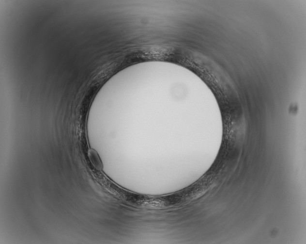 X0000097660599200803211921