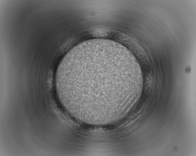 X0000097660600200803211921