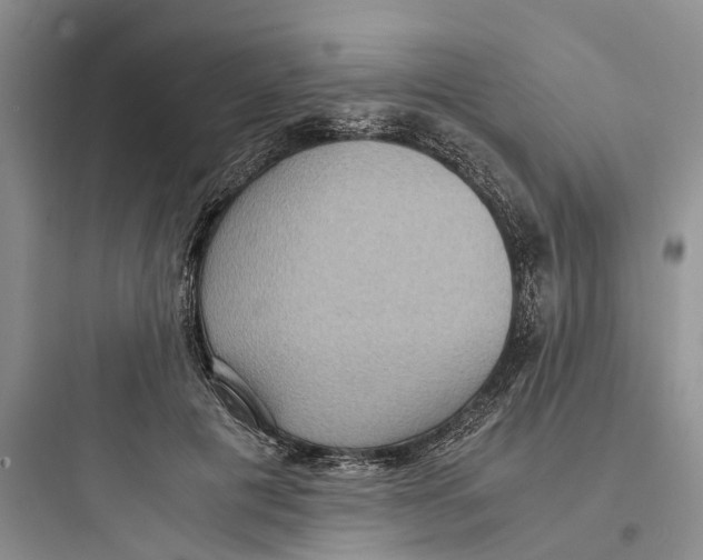 X0000097660601200803211921