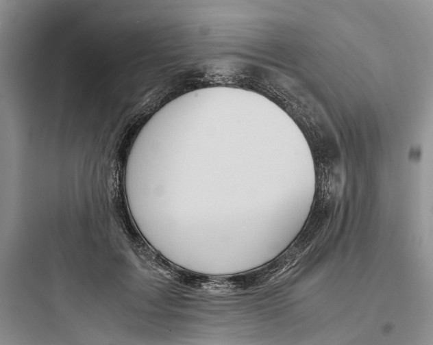 X0000097660603200803211921