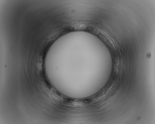 X0000097660604200803211921