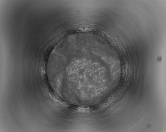 X0000097660606200803211921