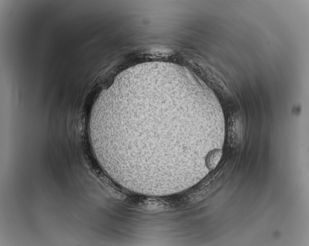 X0000097660608200803211921