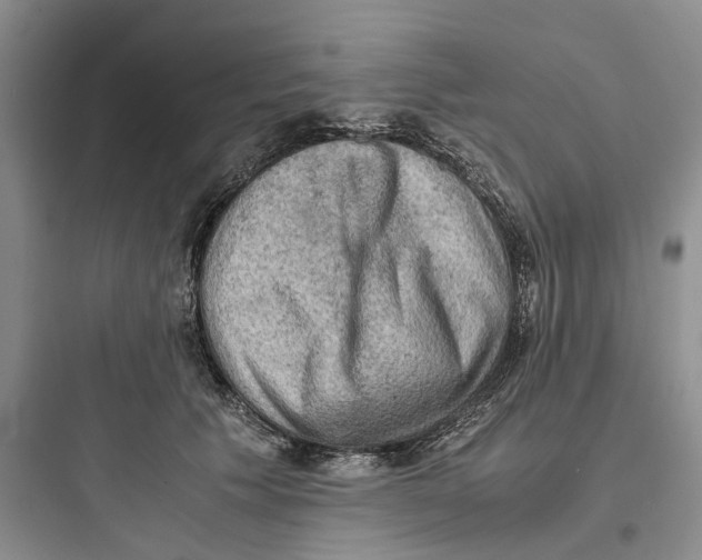 X0000097660609200803211921