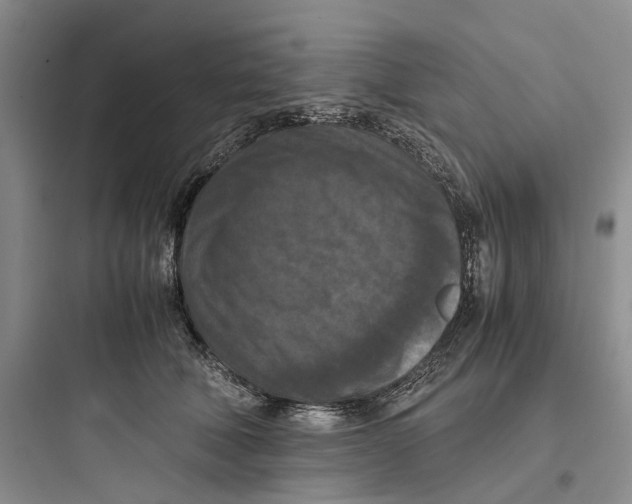 X0000097660610200803211921
