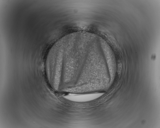 X0000097660613200803211921
